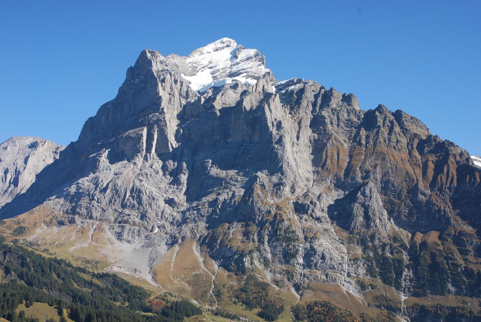 Hotel Bluemlisalp Grindelwald Eksteriør billede